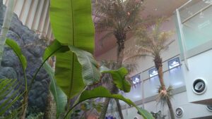 インドネシア館
