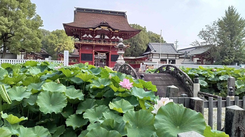 伊賀八幡宮