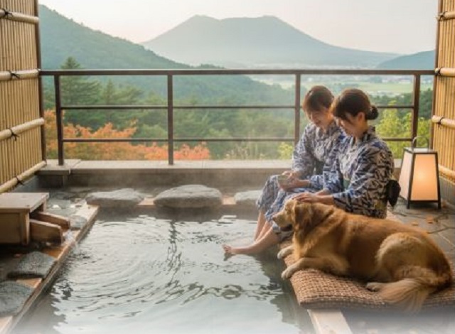 犬と泊まれる宿