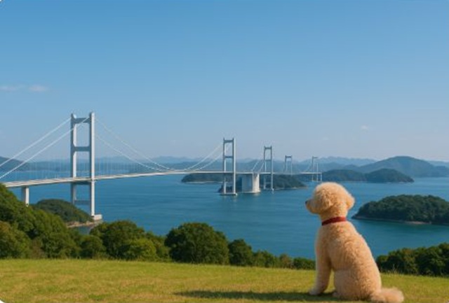 犬と泊まれる宿