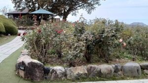 三方五湖 レインボーライン山頂公園